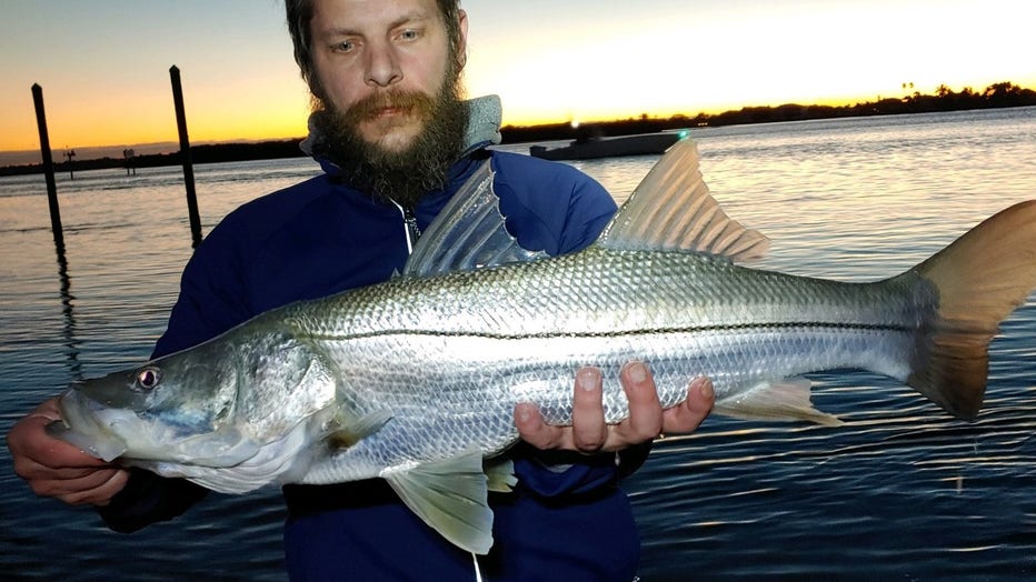Finding Nearshore Kingfish Using Smart Fishing Spots [Fishing Report]
