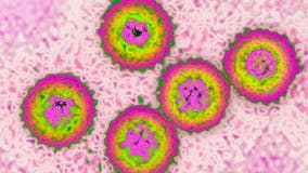 Cytomegalovirus: What the CDC wants you to know during the holiday