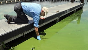Polk County health officials issue blue-green algae alert for Lake Crago
