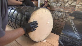 Cutting the cheese: Mazzaro's to slice 840-pound block of aged provolone ahead of Christmas