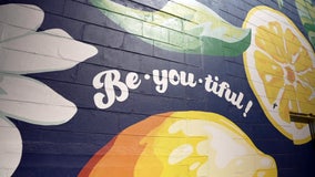 St. Pete murals celebrate ‘art for art’s sake’ in an outdoor gallery