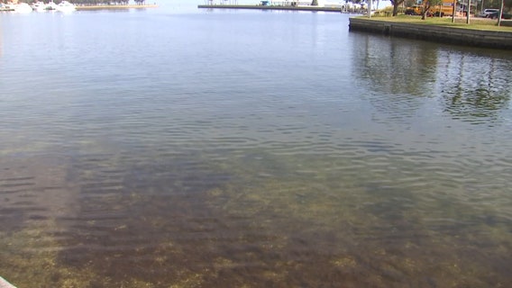 St. Pete seeking public input as it upgrades infrastructure plan to address flooding