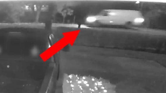 Polk deputies search for driver in fatal hit-and-run crash involving bicyclist