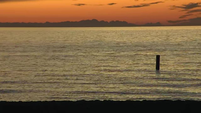 Clearwater police investigating after body found floating at Sand Key Park