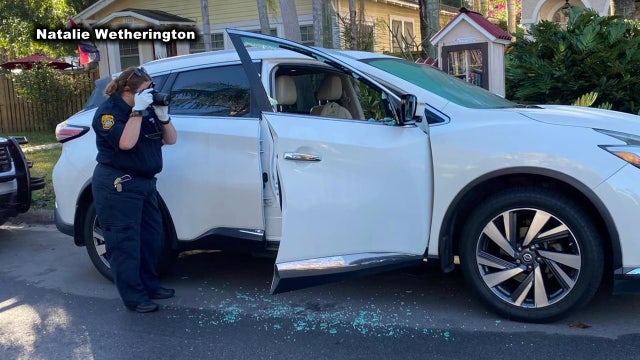 South Tampa neighborhood hit by smash-and-grab burglars