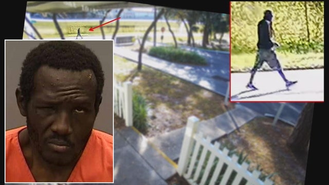 Hillsborough deputies arrest man accused in attempted rape of elderly woman in broad daylight