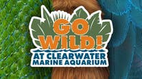 Clearwater Marine Aquarium goes wild for biodiversity education event