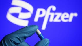 Pfizer pills effective against omicron, vaccine-maker's studies show