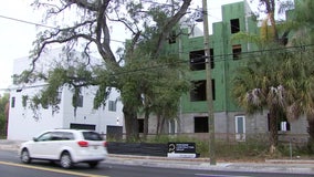 Tampa City Council denies appeal from developer to remove grand oaks on former Kojak's property