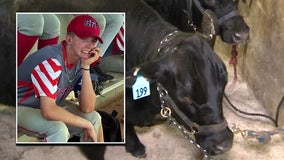 'Little towns, big hearts': Polk community turns steer auction into fundraiser for family who lost son