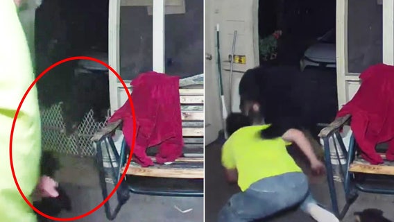 Florida man injured fighting off bear to protect his dogs