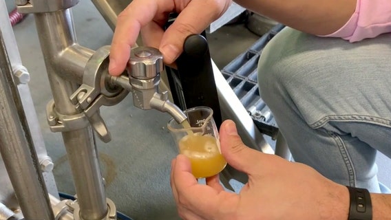 Diversity scholarship opens doors to careers in craft brewing