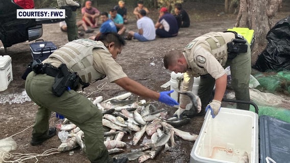 FWC officers hook 10 for illegal fishing with gillnets the length of 4 football fields