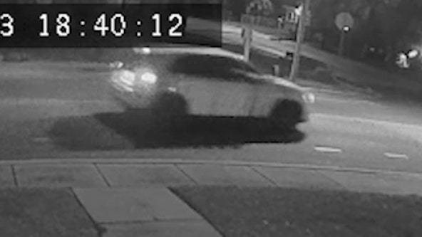 St. Pete police search for SUV involved in hit-and-run that injured pedestrian