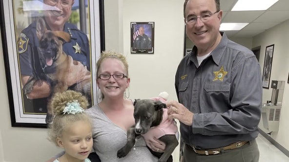 Missing Polk County puppy reunited with family after being located in Nebraska