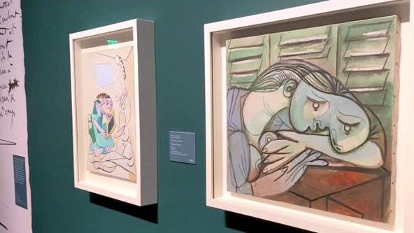 Experience Pablo Picasso at The Dalí through May