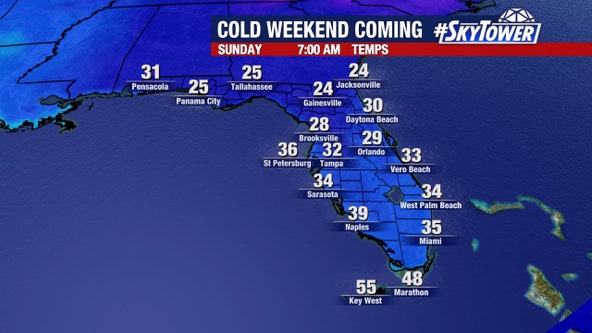 Forecast: This weekend, Tampa Bay will likely feel the coldest air in four years