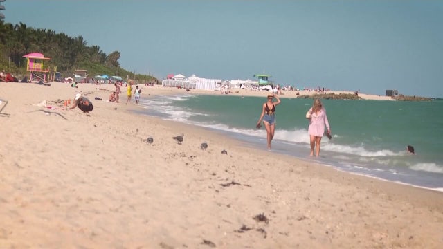 Florida tourism sets new records as industry bounces back from pandemic