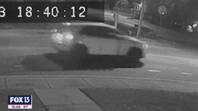 Family searching for hit-and-run driver who nearly killed St. Pete man