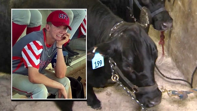 'Little towns, big hearts': Polk community turns steer auction into fundraiser for family who lost son