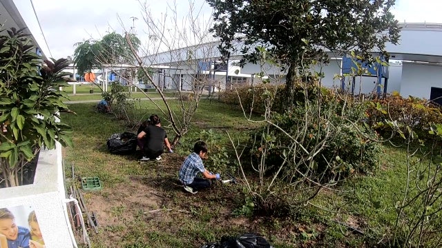 Community rallies around Brooksville school's campus beautification program
