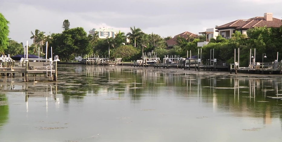 ’Pollution is pollution’: How to reduce amount of algae-thriving nutrients in Bay Area waterways