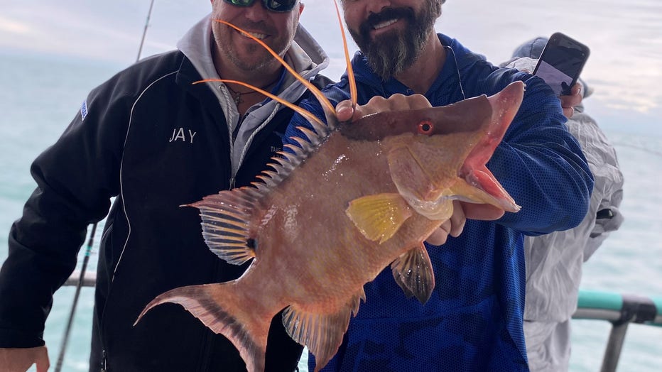 Mahi Fishing Tips: Gulf Coast Mahi (With Capt. Dylan Hubbard