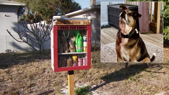 St. Pete man honors beloved dog by creating free roadside pet food pantry