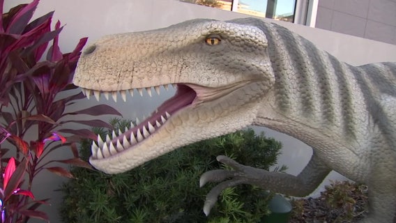 Bradenton museum brings dinosaurs back to life in animatronic exhibit