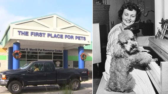 Betty White Challenge leads to more than 1,000 adoptions at Hillsborough Pet Resource Center