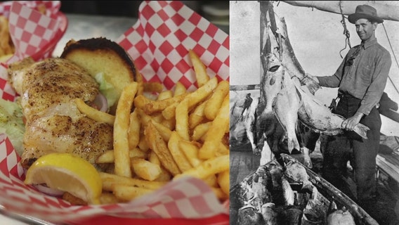 'Food will win the war': Grouper's thrust into popularity during WWI