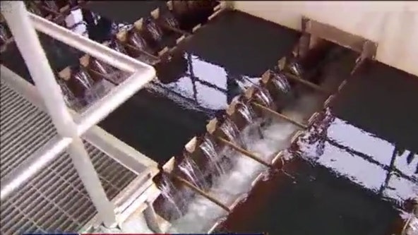 Tampa Bay Water: Population growth means millions more gallons needed by 2028