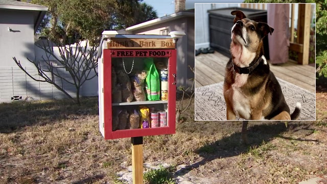 St. Pete man honors beloved dog by creating free roadside pet food pantry
