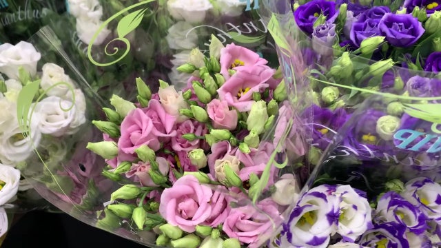 Tampa wholesale flower shop gears up for Valentine’s Day