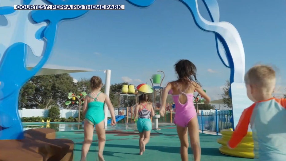 Peppa Pig Pool Party & Pinic - Eustis FL