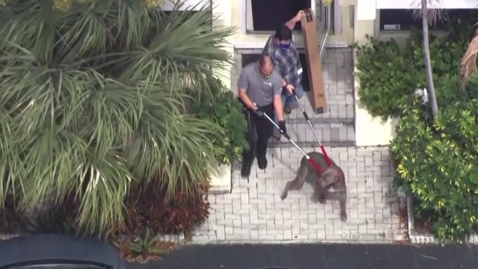 Woman killed in dog attack at South Florida animal rescue