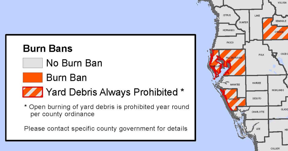 Fire risk high in Bay Area as wildfires burn around Florida | FOX 13 ...