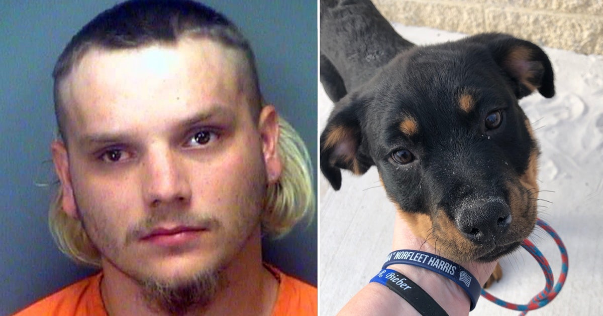www.fox13news.com