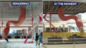 Installation of massive pink flamingo sculpture at Tampa International Airport halfway done