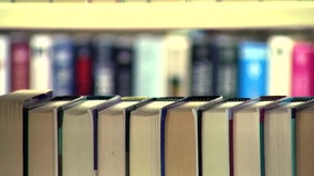 16 ‘inappropriate’ books to be reviewed by Polk County school officials