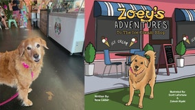 Books for kids: Proceeds from 'Zoey's Adventures to the Ice Cream Shop' help Florida shelters