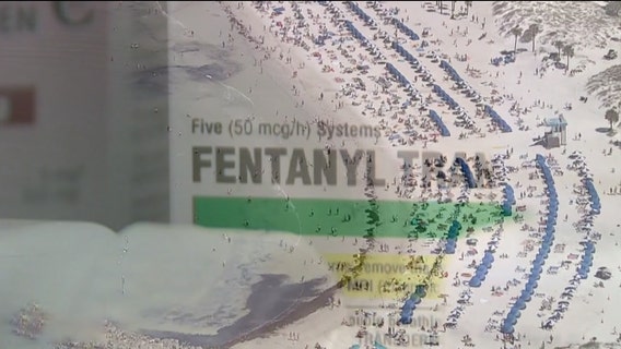 Spring breakers warned of possible mass overdose after fentanyl-laced drugs appear in Florida