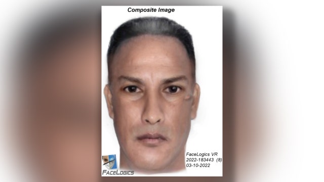 Deputies searching for attempted sexual assault suspect who used stun gun on victim