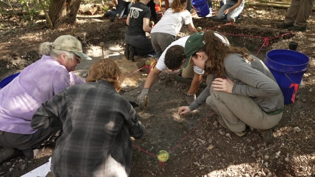 Weedon Island walk leads hikers to archeological excavation site