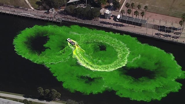 Tampa tests biodegradable dye ahead of River O' Green Festival