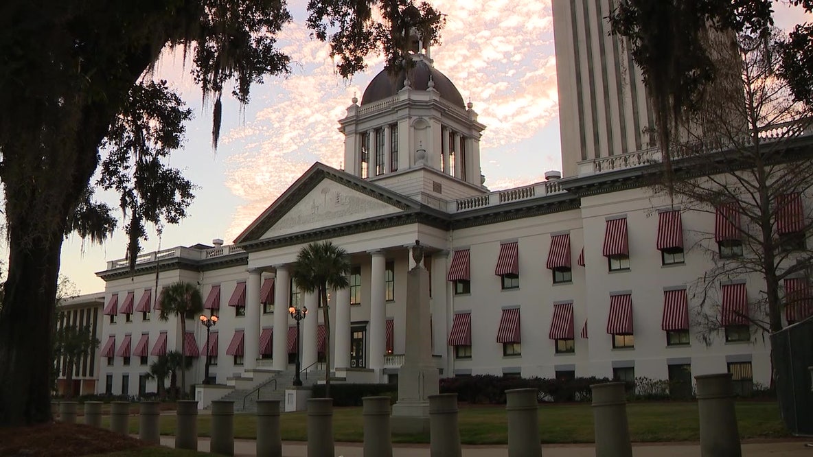Florida laws take effect July 1: Here's what's new