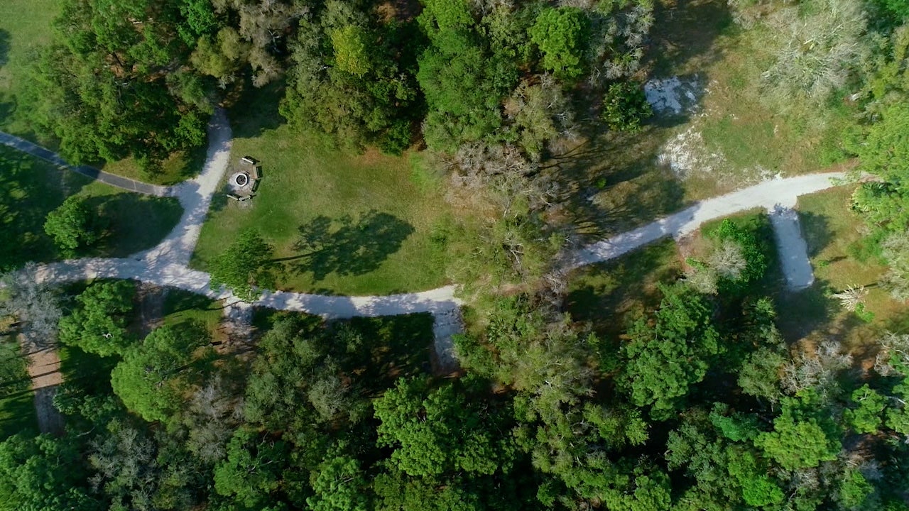 Boyd Hill Nature Preserve is an 'oasis' not far from downtown St. Pete