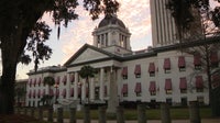 Florida laws take effect July 1: Here's what's new