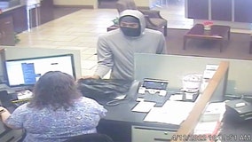 Hernando County deputies search for man who robbed Brooksville bank