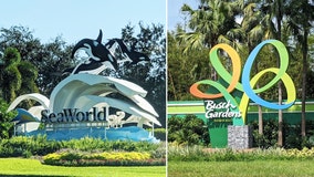 Busch Gardens, SeaWorld offer free tickets to military members and veterans